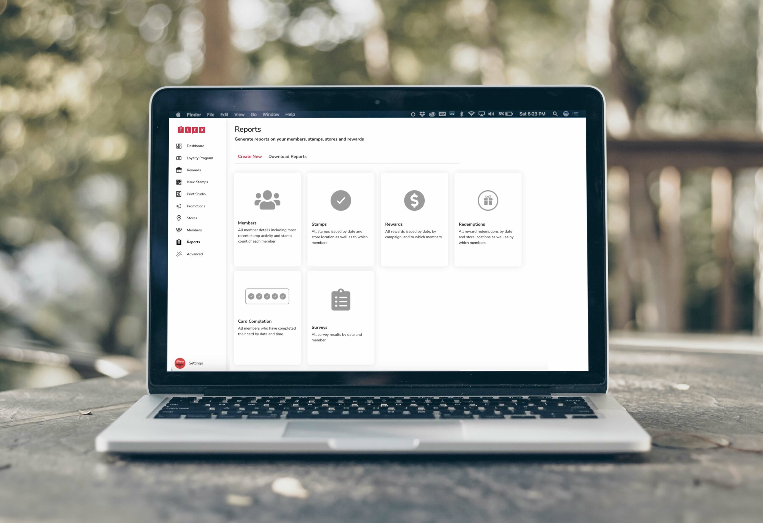 Flex Rewards Dashboard